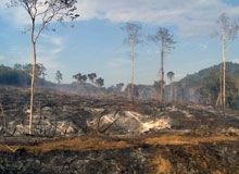 Preparation of the Second National Report for the Convention to Combat Desertification